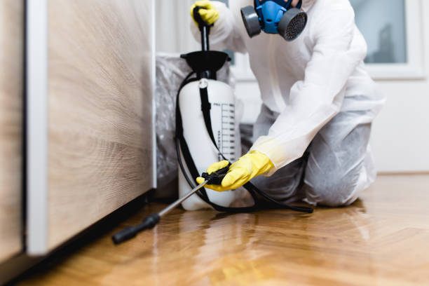  Cottage City, MD Pest Control Pros
