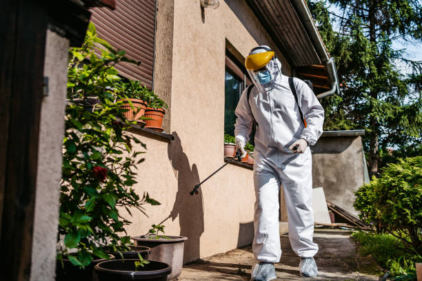 Bird Control in Cottage City, MD