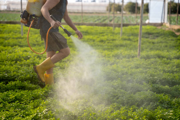 Best Pest Prevention Services  in Cottage City, MD