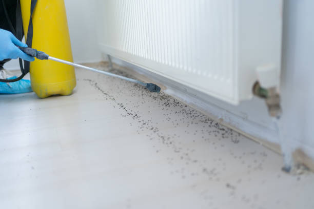 Best Residential Pest Control  in Cottage City, MD